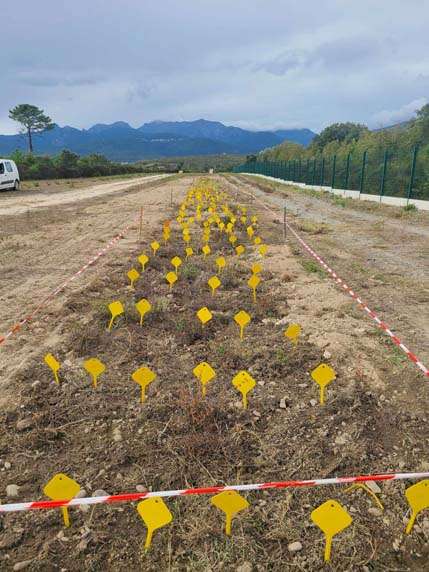 432636678_25094889803458962_792012117134454007_n