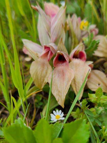 432640003_1401462500562768_6555176427064300035_n