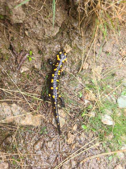 432654226_1176407813731760_8067087139027771568_n