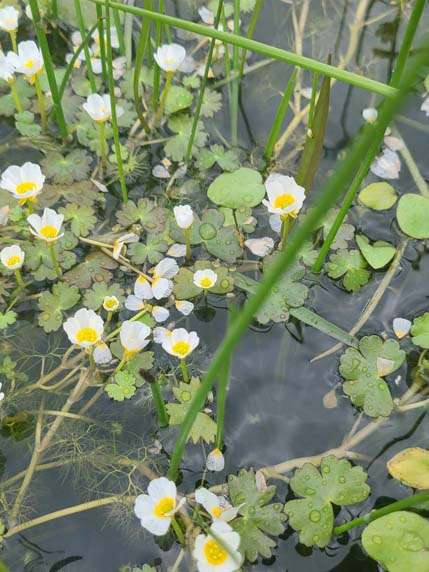 432664734_1755457208296105_4417585719415112891_n