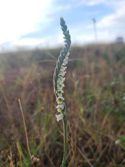 432720653_2180411418965878_2096419704020727735_n