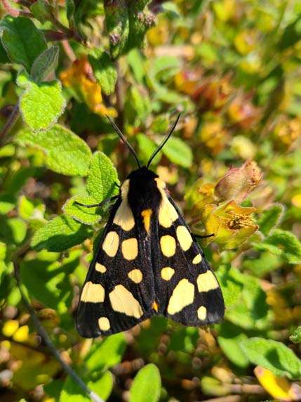 432728637_1556044008272888_3226489084945577734_n