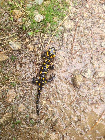 432772397_1568973940337527_2739083864794446767_n