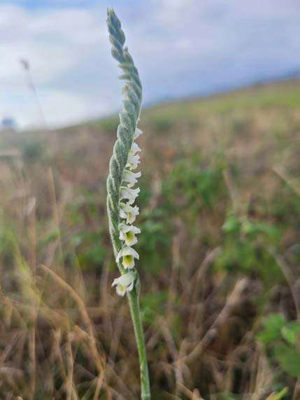 432946039_460774566275715_6025531080574809274_n